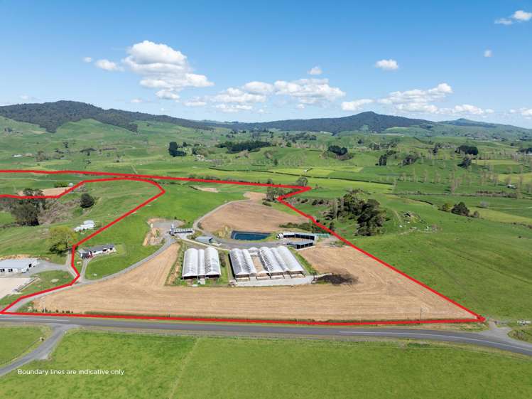 231A Morgan Road Matamata_10