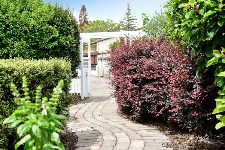 35A Donny Avenue Chartwell_26