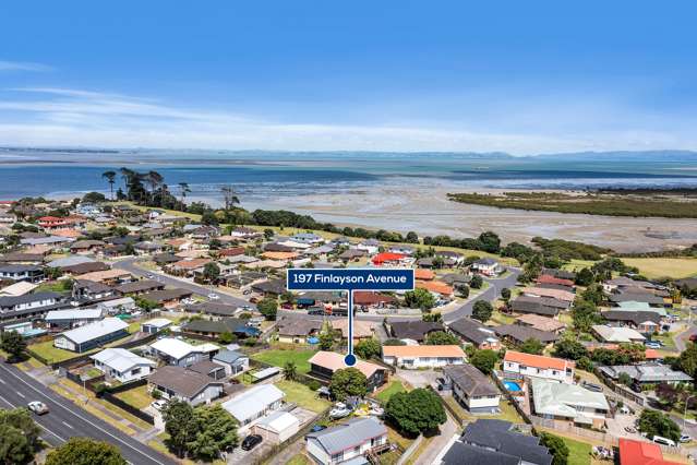 197 Finlayson Clendon Park_4