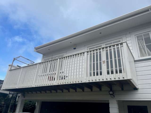 In the Heart of Mt Albert