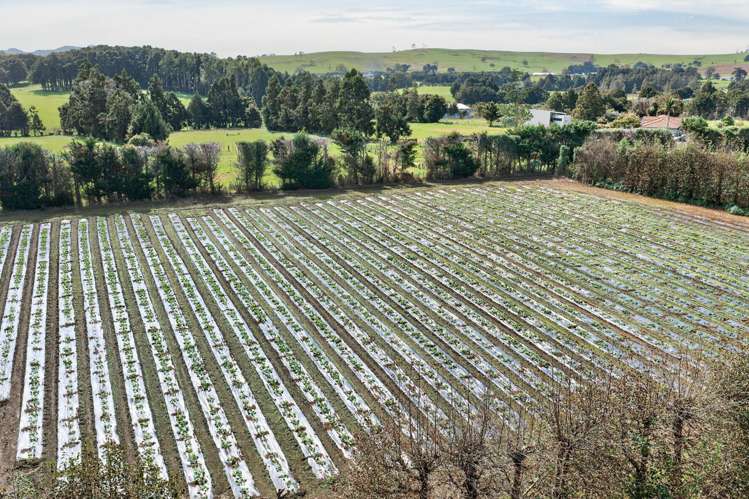 694 Mangakahia Road Poroti_13