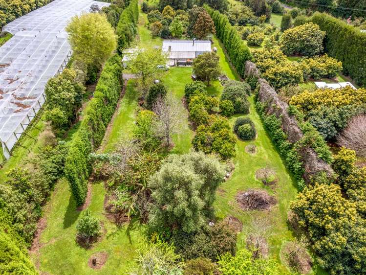 6 Killen Road Katikati_12