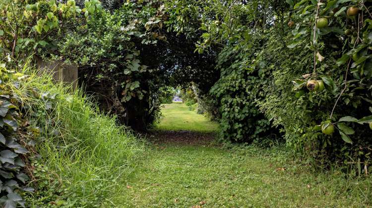 146 Richard Street Opotiki_30