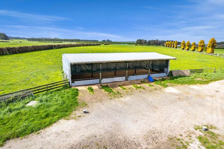 455 Lower Duthie Road Kaponga_20