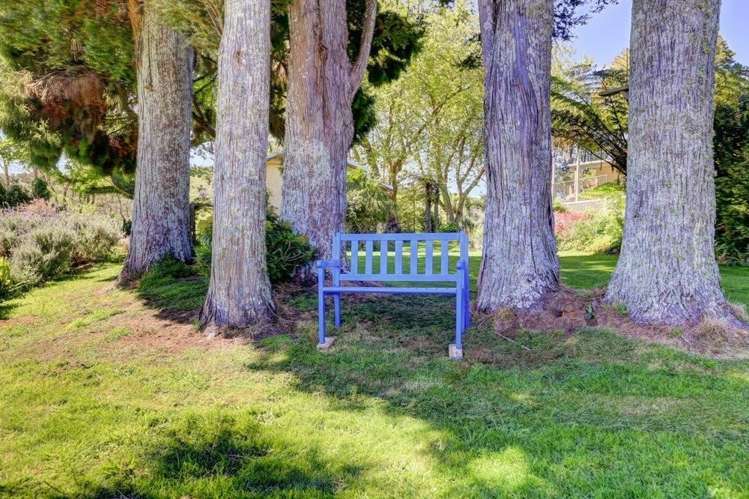 827 Limeworks Loop Road Karamu_41