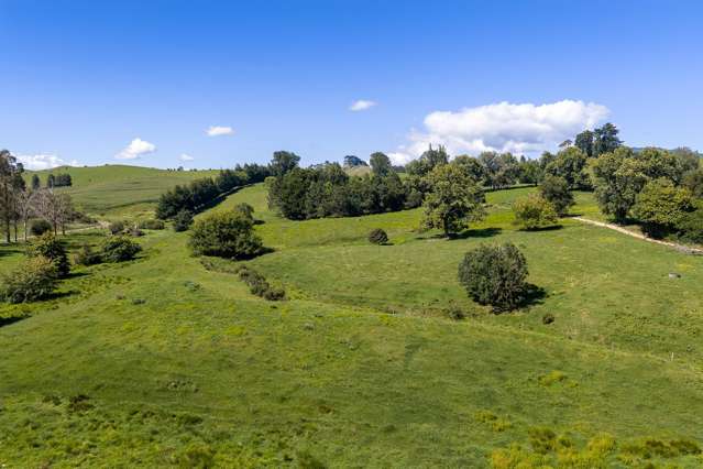 Lot 3/4/366 Karapiro Road Karapiro_2