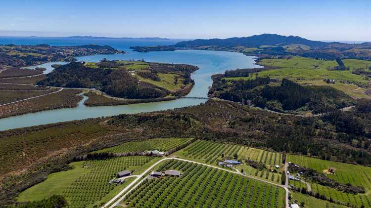 125b Frantoio Ridge Road Mangonui_33