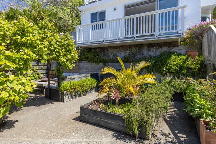 234 Sutherland Road Lyall Bay_14