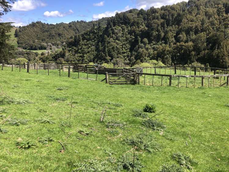 1041 Paparoa Road Whanganui National Park_25