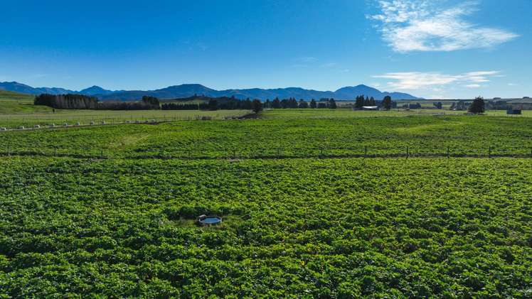 205B Dunrobin Valley Road Dunrobin_6