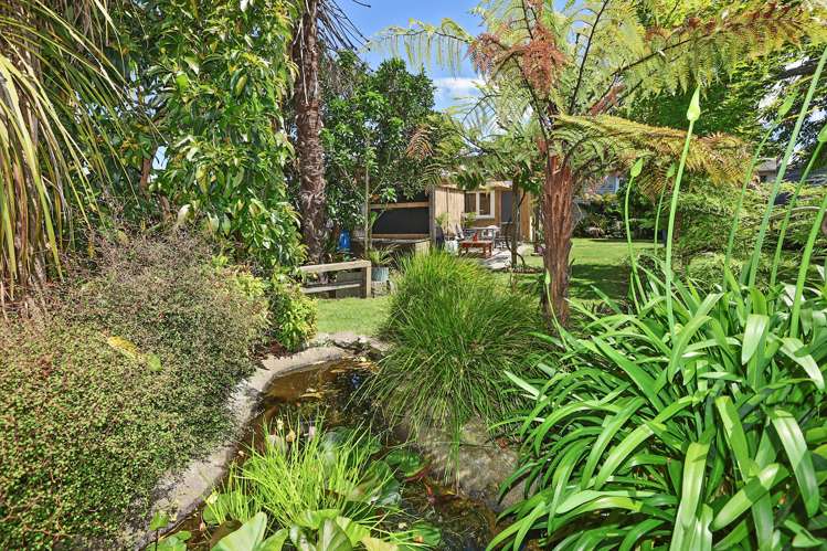 803 Tamatea Street Mahora_15