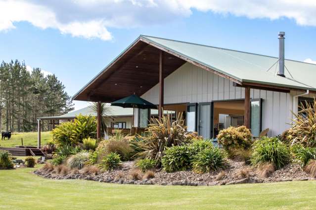 264 Okokako Road Kerikeri_1