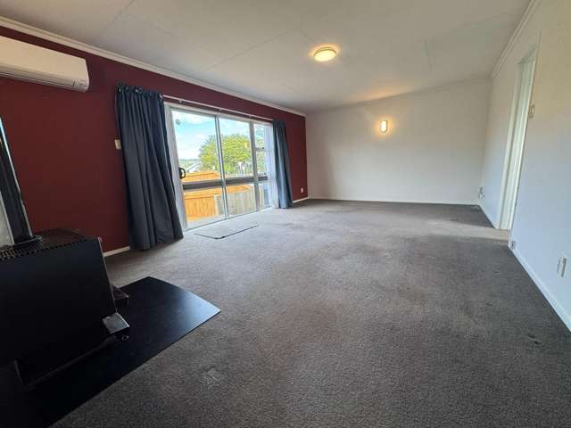 149 Stanford Street North Ashhurst_3
