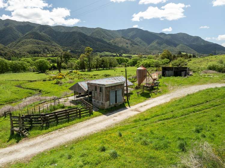 2154 Shenandoah Highway Murchison_16