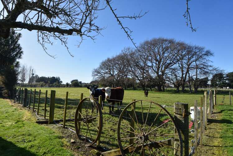 465 Belvedere Road Carterton_17