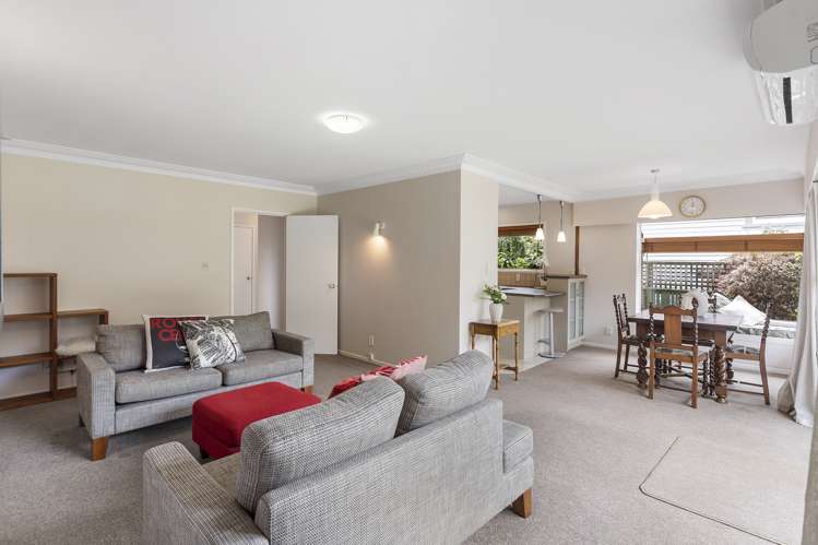 2/3 Matai Road Greenlane_6