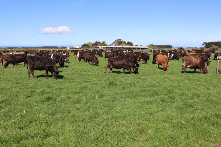 1430 Eltham Road Kaponga_6