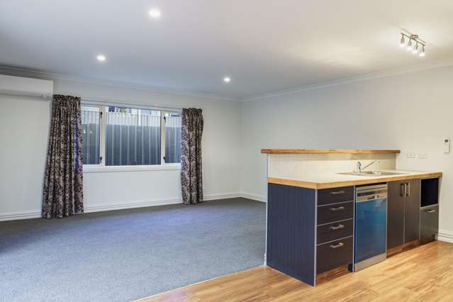 102a McGrath Street Napier South_3
