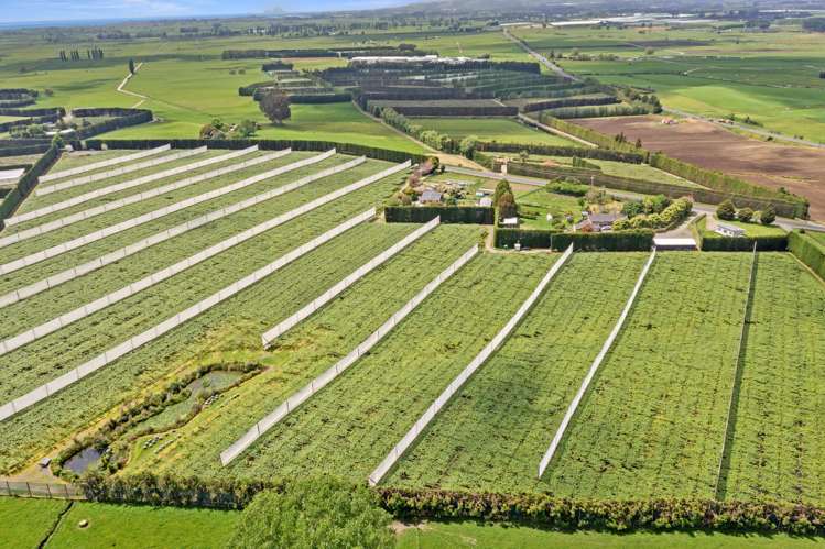 23 Wilson Road North Paengaroa_10