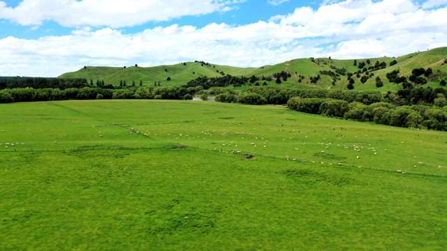 253 Oringi Road Dannevirke_2