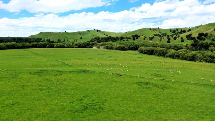 253 Oringi Road Dannevirke_2