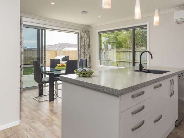 47 Curtis Street Stoke_3