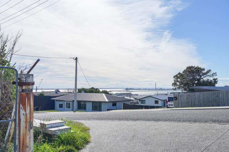 65 Suir Street Bluff_24