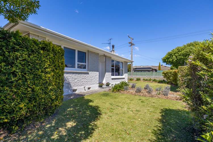 91 Howick Road Redwoodtown_11