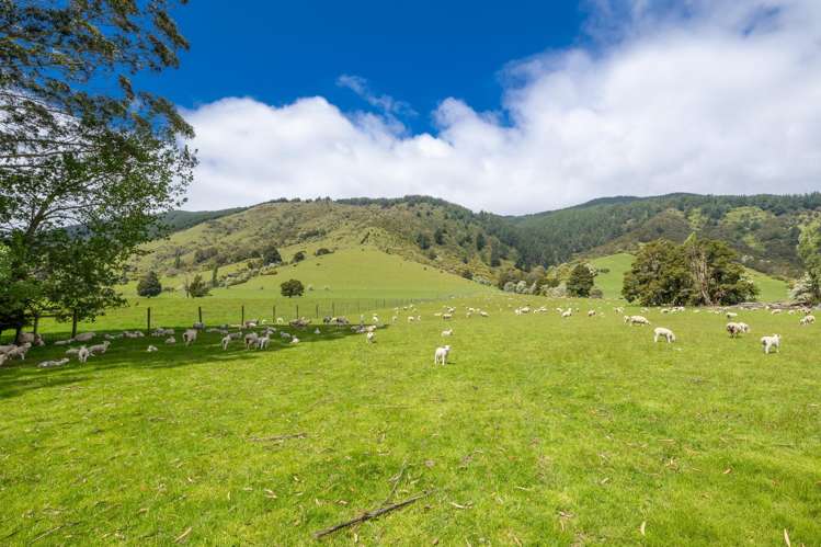 2323 Motueka Valley Highway Ngatimoti_44