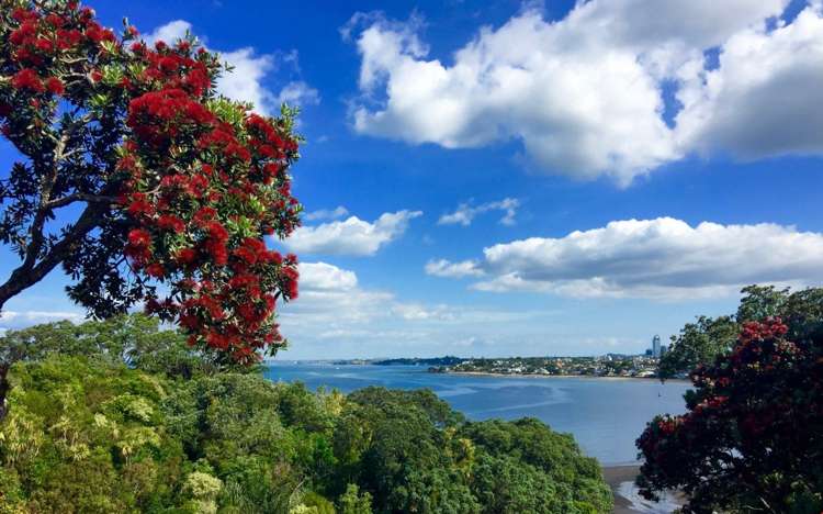 3/14 The Esplanade Castor Bay_16