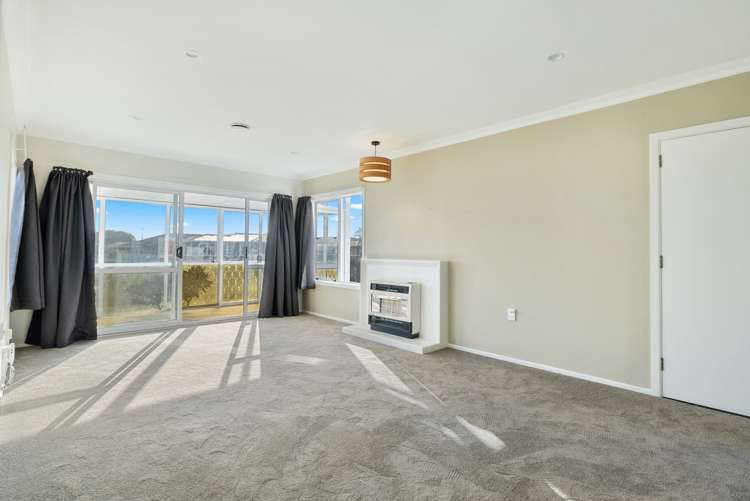 14 Ferguson Street Levin_2