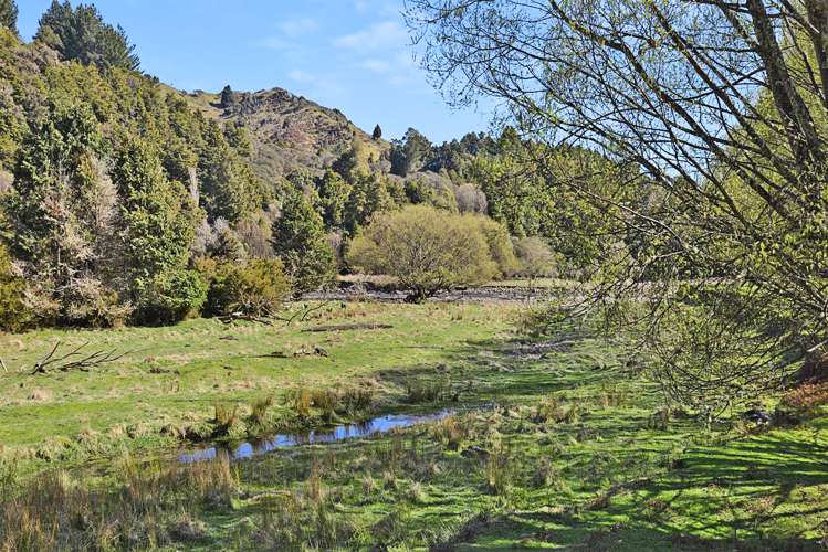 993 Upper Retaruke Road Ruapehu-King Country Surrounds_17
