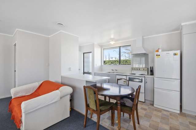 196a Studholme Street Morrinsville_1