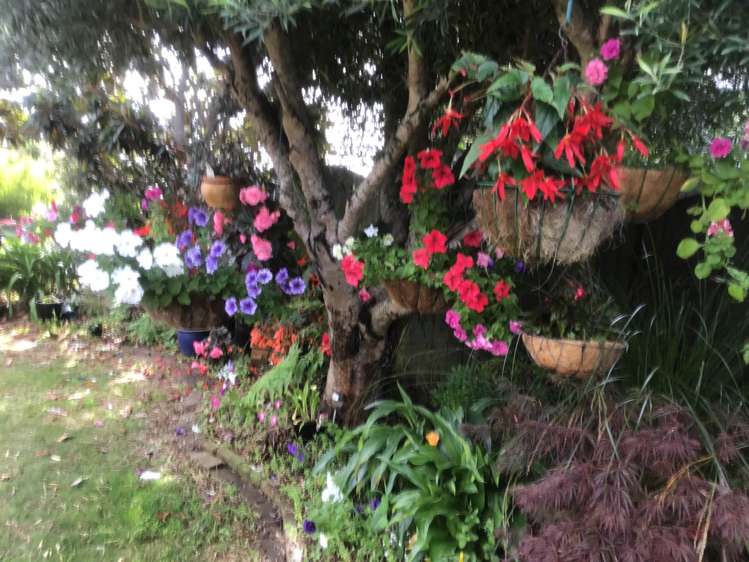 30 Lothian Brae Wattle Downs_23