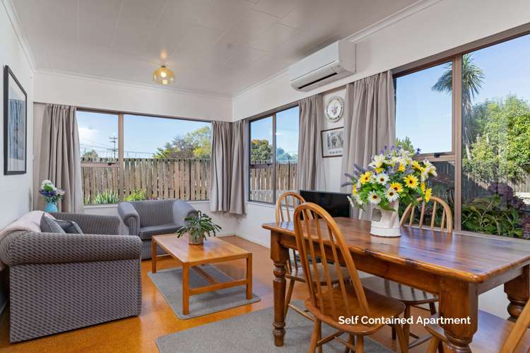 40 Mcmaster Street Greytown_10