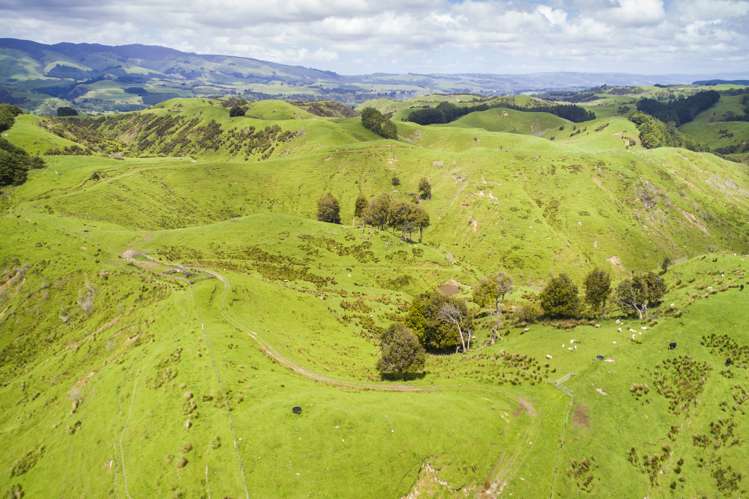 648 Finnis Road Pohangina_12