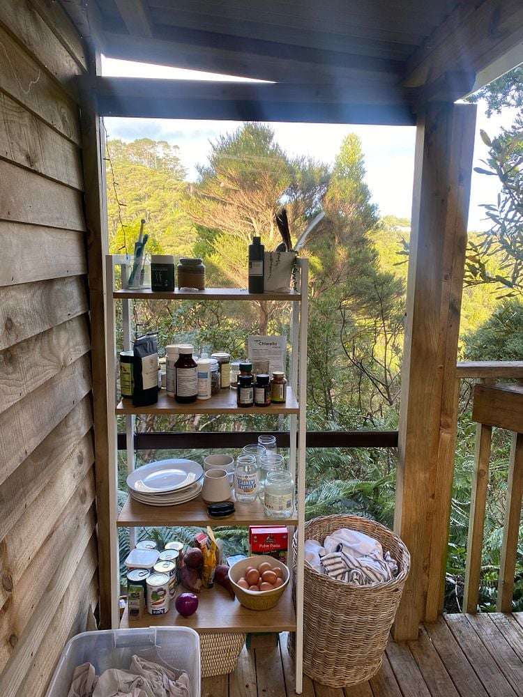 Kauri Cabin/128 Lone Kauri Road Karekare_12