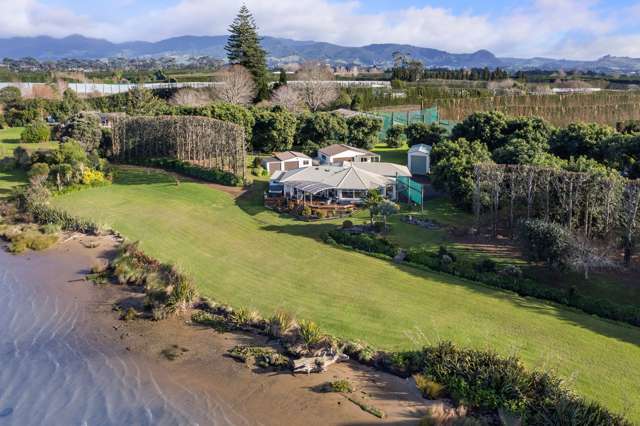 204e Beach Road Katikati_4