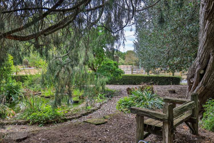 254 Kohatu-Kawatiri Highway Kahurangi National Park_20