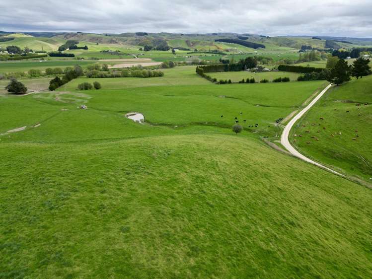 Palmerston-Dunback Road/Switchback Road Palmerston_17