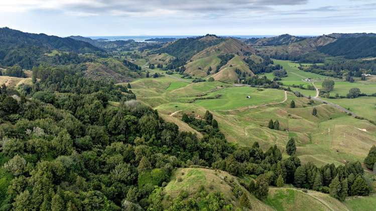 2140 State Highway 2, Nukuhou North Whakatane_11