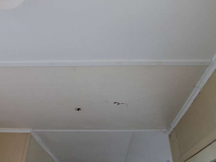 83 Phillips Avenue Otorohanga_18