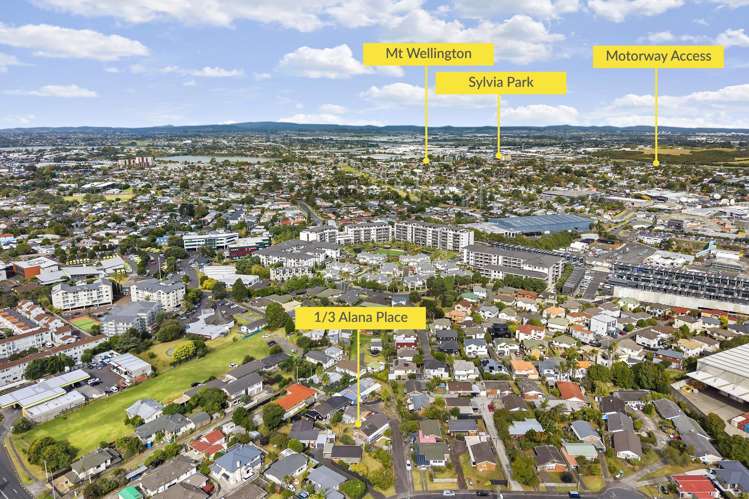 1/3 Alana Place Mount Wellington_12