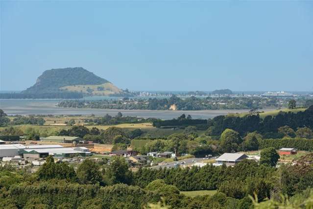 51 Corbett Drive Wairoa_1