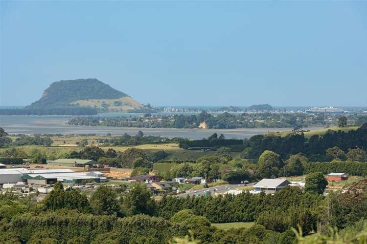 51 Corbett Drive Wairoa_1