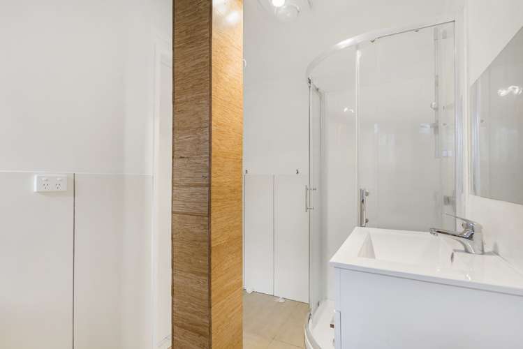 60 Christmas Road Manurewa_7