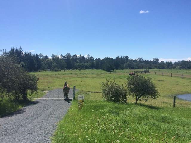 2 Lily Pond Lane Haruru_3