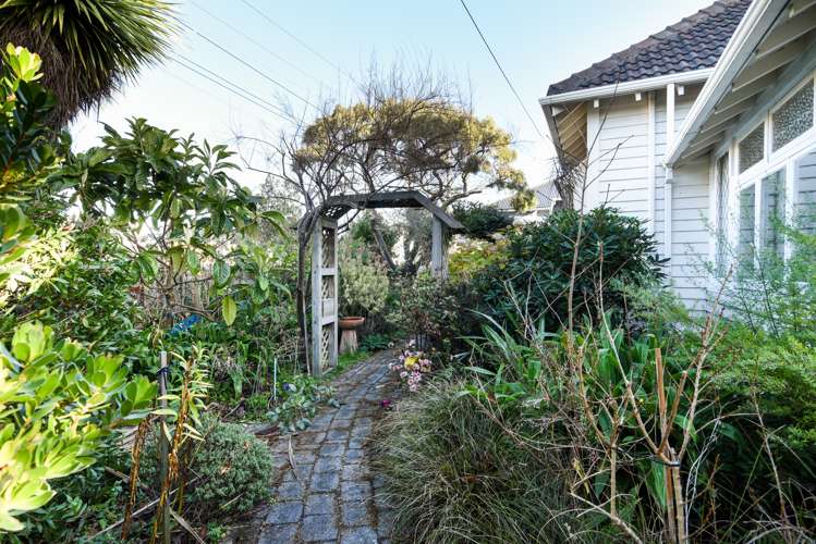 218 Forbury Road Saint Clair_26