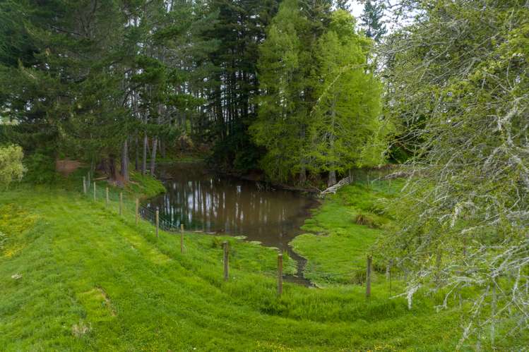 463 Pickering Road Tamahere_25