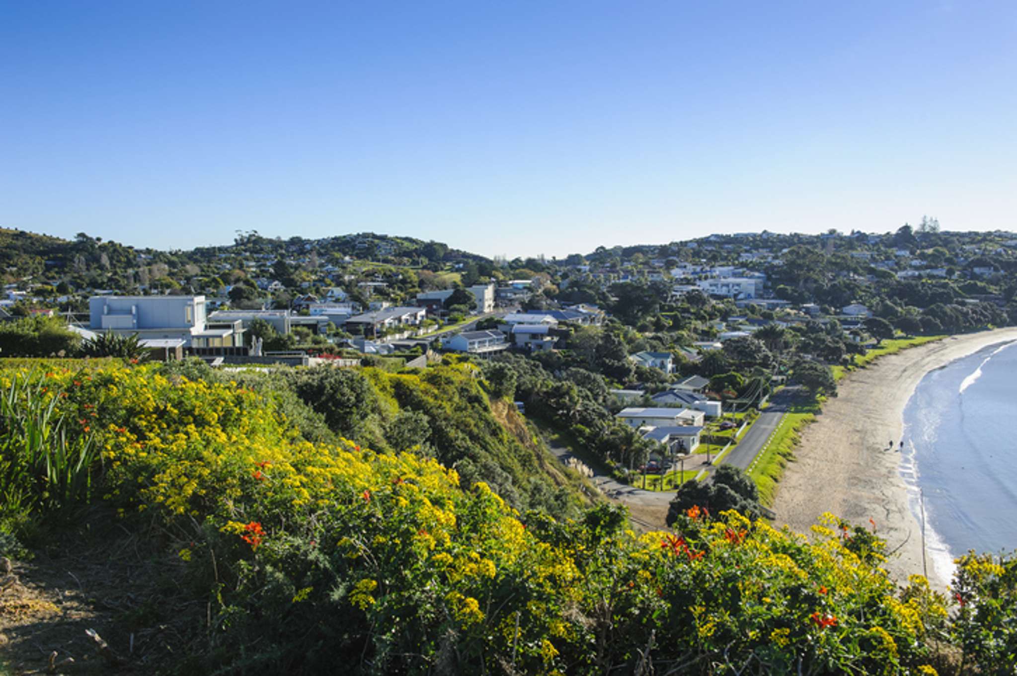 Prices have gone ‘absolutely crazy’: Waiheke’s listings drought turns up the heat